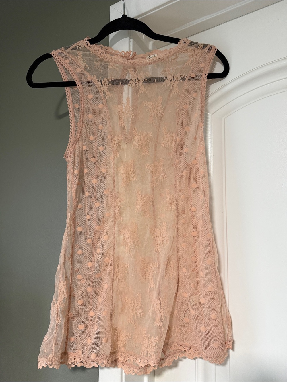 Free People Sheer Romance Cami in Cameo Rose - Picture 7 of 11